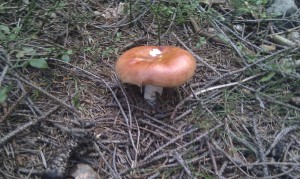 Imag0162