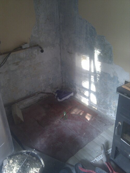 #365 ka žabáka Freda 065/365