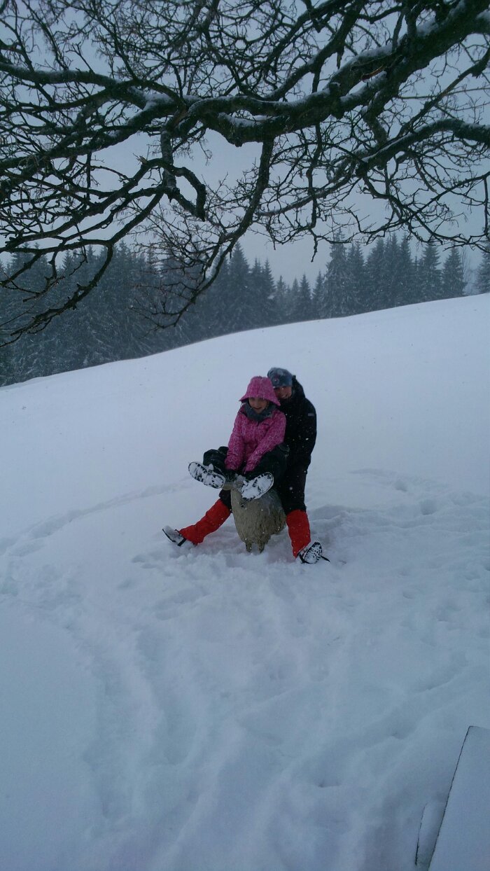 #365 ka žabáka Freda 255/365