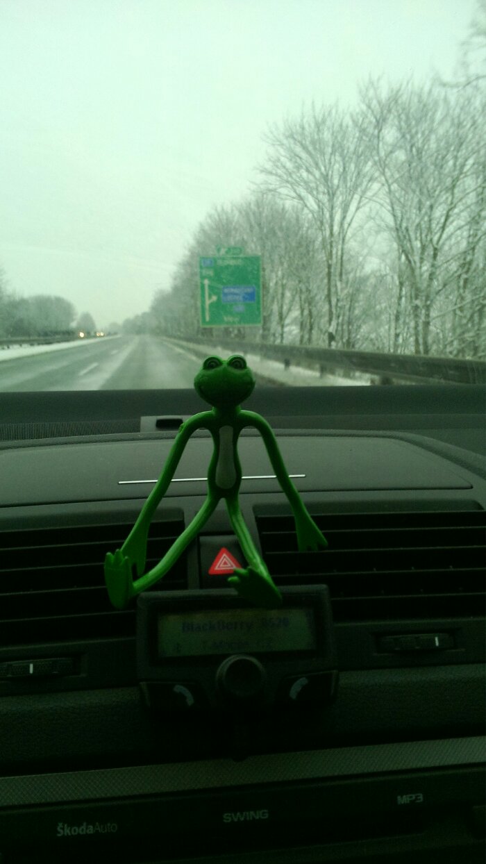 #365 ka žabáka Freda 265/365