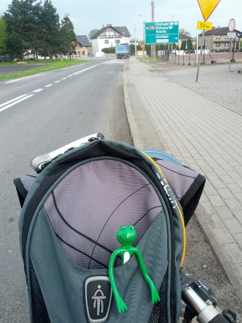 #365 ka žabáka Freda 347/365