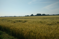 panoramata