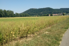 panoramata